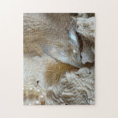 Parels, Oester en Zee Koraal Fotografisch Legpuzzel (Verticaal)