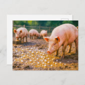 Parels voor varkens in modderige pen feestdagenkaart (Voorkant / Achterkant)