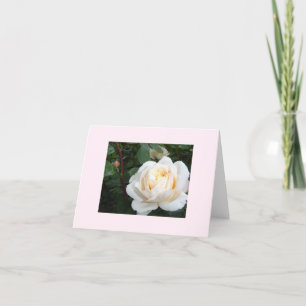 Parels witte roos blanco notitiekaart