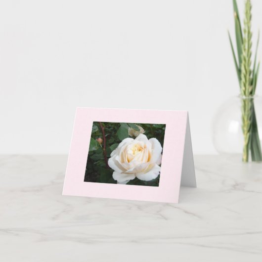 Parels witte roos blanco notitiekaart (Voorkant)