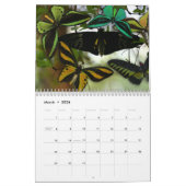 Pareltjes van de lucht kalender (Mar 2026)