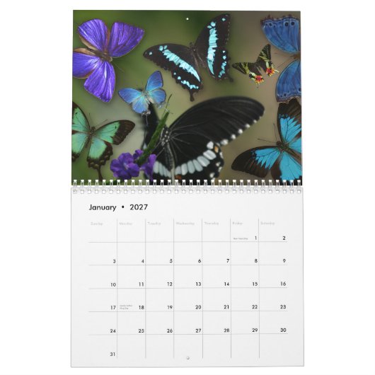 Pareltjes van de lucht kalender (Jan 2027)