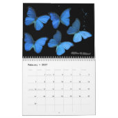 Pareltjes van de lucht kalender (Feb 2027)