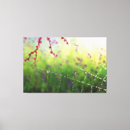 Pareltjes van een Afdruk van het Canvas van de Len (Voorkant)
