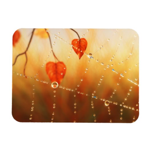 Pareltjes van een Autumn Morning Flexible Magnet Magneet (Horizontaal)