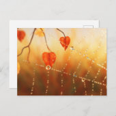 Pareltjes van een Briefkaart in de herfst van de o (Voorkant / Achterkant)