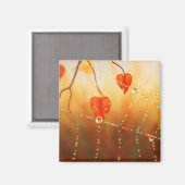 Pareltjes van een herfst Morning Magnet (Voorkant / Achterkant)