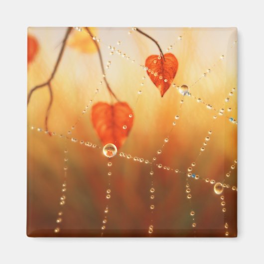 Pareltjes van een herfst Morning Magnet (Voorkant)