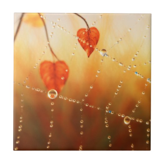 Pareltjes van een Herfstochtend Decoratieve Tegel  Tegeltje (Voorkant)