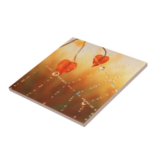 Pareltjes van een Herfstochtend Decoratieve Tegel  Tegeltje (Zijkant)