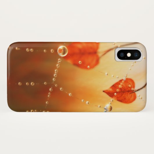 Pareltjes van een Hoesje in de herfst van Morning  (Achterkant (horizontaal))