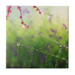 Pareltjes van een lentemeertestapel / Trivet Tegeltje