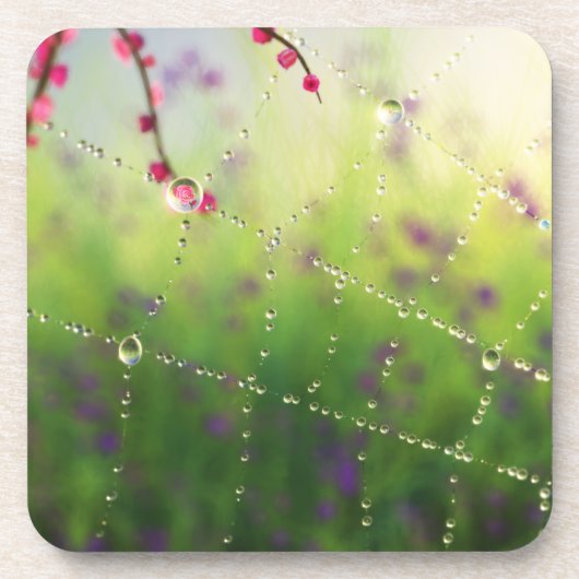 Pareltjes van een Onderzetter van de lentemorning (Voorkant)