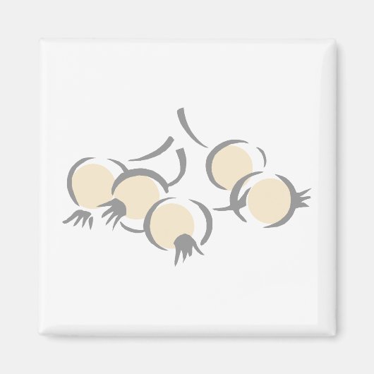 Pareluien Magneet (Voorkant)