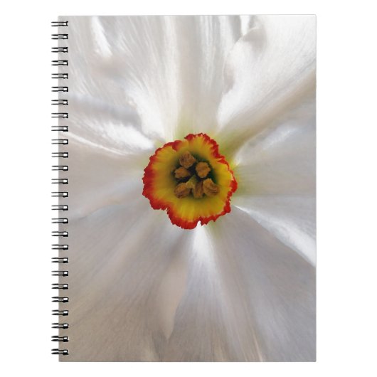parelwitte narcissen notitieboek (Voorkant)