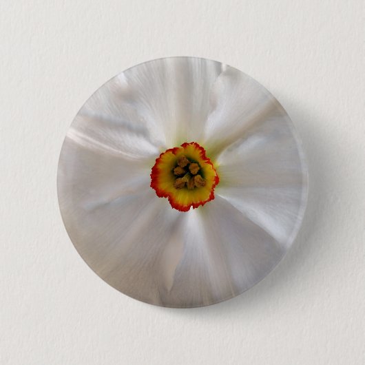parelwitte narcissen ronde button 5,7 cm (Voorkant)