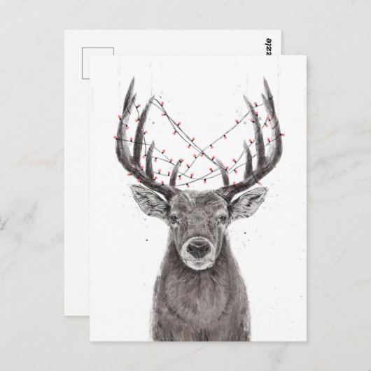 parezen briefkaart (Voorkant / Achterkant)