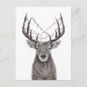 parezen briefkaart (Voorkant)