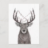 parezen briefkaart (Voorkant)