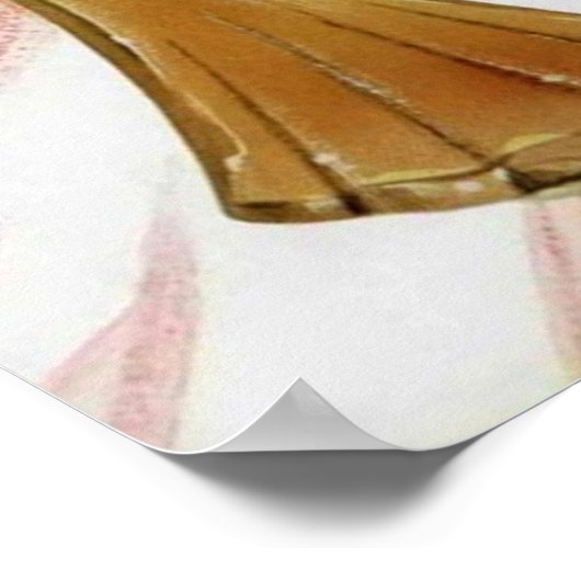 parfume Adverteren Frans Poster (Hoek)