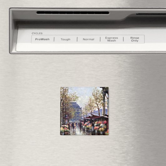 Parijs, de Bloemmarkt van La Madeleine Magneet (Insitu (Vaatwasser))