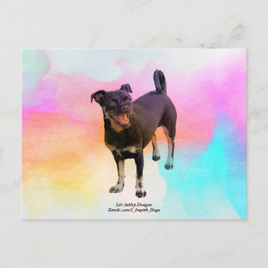 Parijs Disco Ansichtkaart Briefkaart (Voorkant)