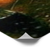 Parijs een nat nachtdesigner poster (Hoek)