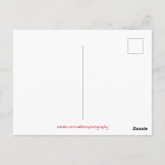 Parijs Frankrijk Night City Lights Briefkaart (Achterkant)