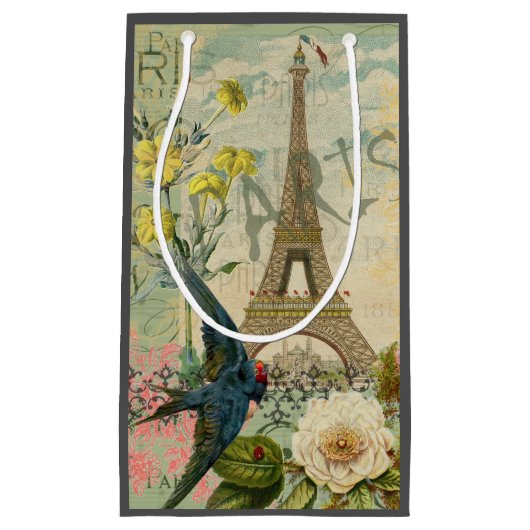 Parijs Frankrijk Reizen  Antiek kunstschilderkunst Klein Cadeauzakje (Voorkant)