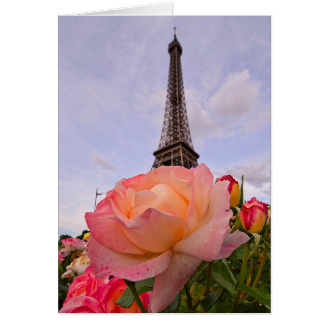 Parijs in de lente is altijd een goed idee (Voorkant)