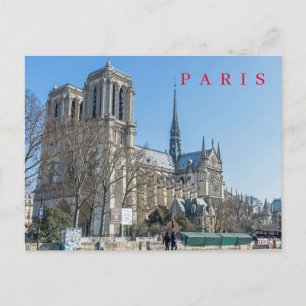 Parijs Notre Dame Kathedraal uitzicht briefkaart