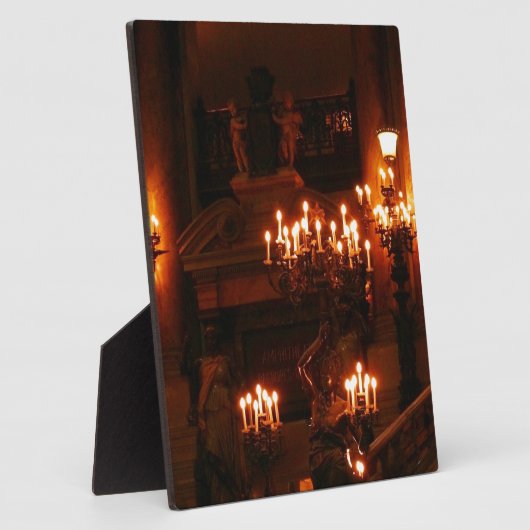 Parijs Opera House/Palais Garnier Fotoplaat (Zijkant)