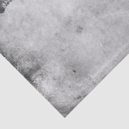 Parijs-weefsel of ontkoppelpapier Tissuepapier (Detail)