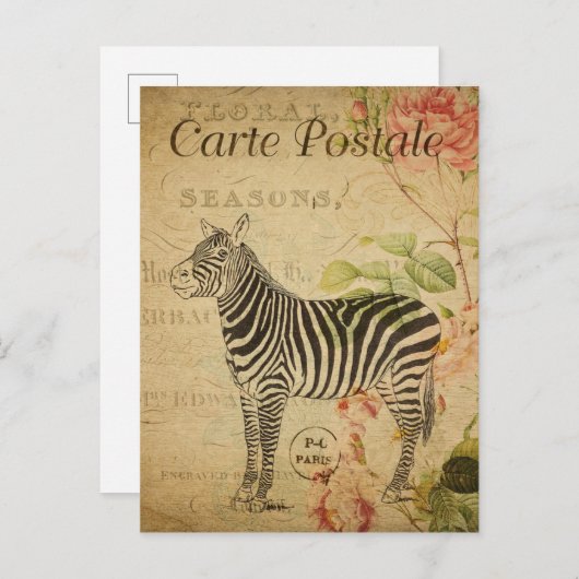 Parijs  Zebra Briefkaart (Voorkant / Achterkant)
