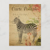 Parijs  Zebra Briefkaart (Voorkant)