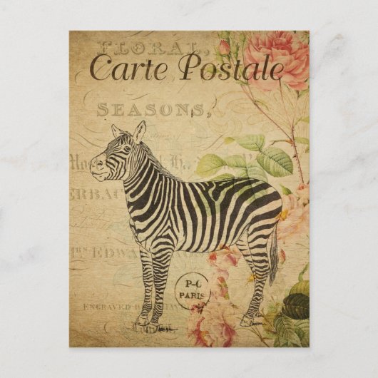 Parijs  Zebra Briefkaart (Voorkant)