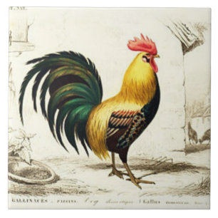 Parijse haan home decor tegel Tegeltje