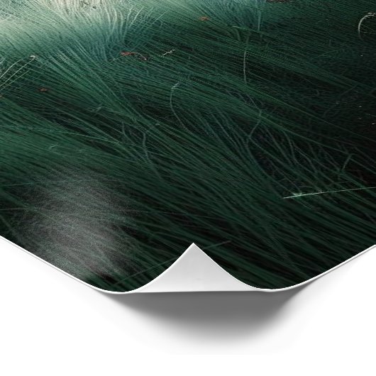 París: Arte de línea con Coordenadas. Perfect Poster (Hoek)