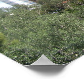 Paris Casino Las Vegas NV Poster (Hoek)