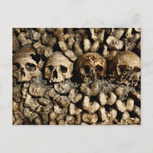 Paris Catacombs Skulls and Botten Briefkaart