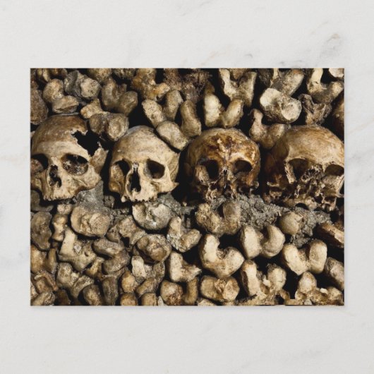Paris Catacombs Skulls and Botten Briefkaart (Voorkant)
