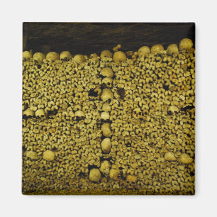 Paris Catacombs Skulls en Botten Magneet