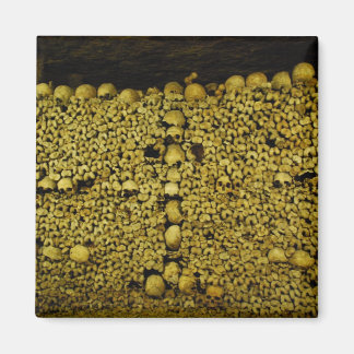 Paris Catacombs Skulls en Botten Magneet
