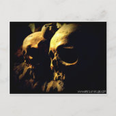 Paris Catacombs tegen April A Taylor Briefkaart (Voorkant)