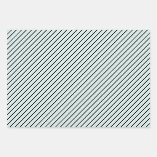 Paris Coordinating Pattern Inpakpapier Vel (Voorkant 3)