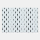 Paris Coordinating Pattern Inpakpapier Vel (Voorkant 2)