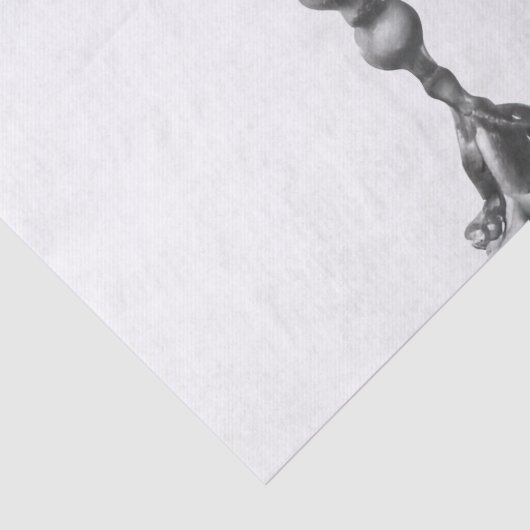 Paris  Dress Form Tissuepapier (Detail)