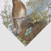 Paris Eiffel Tower Bird Nest French Text Decoupage Tissuepapier (Detail)