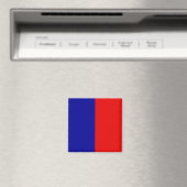 Paris Flag Magneet (Insitu (Vaatwasser))