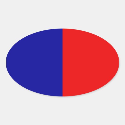 Paris Flag Ovale Sticker (Voorkant)